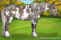 Horse Color:White Spotted Silver Black 