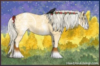 Horse Color:White Spotted Gold Cream Champagne