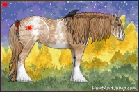 Horse Color:White Spotted Chestnut