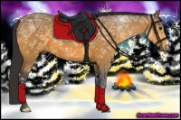 Horse Color:Buckskin Ice