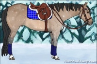 Horse Color:Bay Dun