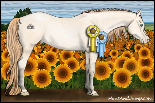 Horse Color:Amber Cream Champagne Ice Pearl Rabicano 