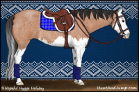 Horse Color:Bay Roan Splash 