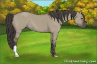 Horse Color:Smoky Grullo 