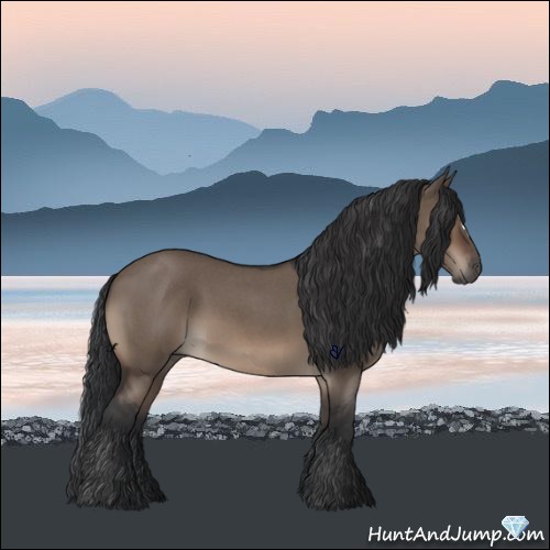 Horse Color:Brown Roan Dun 