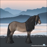 Horse Color:Brown Roan Dun 