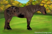 Horse Color:Void White Spotted Liver Chestnut Sabino Splash Frame Blanket and Void White Spotted Liver Chestnut Sabino Splash Frame Blanket