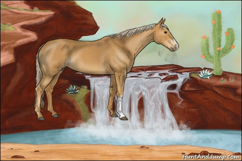Horse Color:Palomino Roan