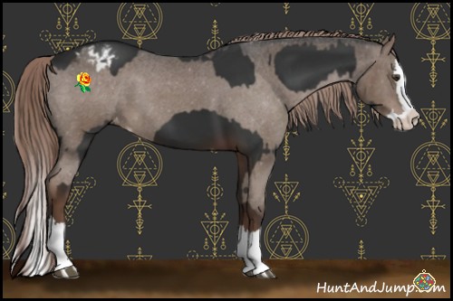 Horse Color:Liver Chestnut Sabino Splash Varnish and Liver Chestnut Sabino Splash Varnish