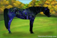 Horse Color:ERROR: UNKNOWN ANOMALY and ERROR: UNKNOWN ANOMALY