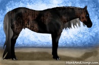 Horse Color:Void White Spotted Brown Splash Tobiano  and Void Silver Brown Sabino Splash Tobiano Varnish 