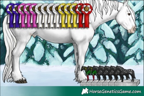 Horse Color:Liver Chestnut Mushroom Sabino Splash Tobiano Near Fewspot  and Brown Chinchilla Dun Sabino Splash Blanket 