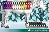 Horse Color:Liver Chestnut Mushroom Sabino Splash Tobiano Near Fewspot  and Brown Chinchilla Dun Sabino Splash Blanket 