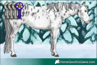 Horse Color:White Spotted Liver Chestnut Mushroom Sabino Splash Appaloosa  and Black Chinchilla Sabino Splash Tobiano Appaloosa Rabicano 