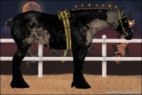 Horse Color:Void Brown Dun Splash Tobiano 