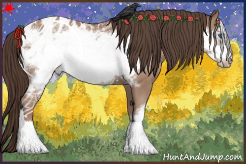 Horse Color:Classic Champagne Frame Appaloosa 