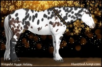 Horse Color:Brown Sabino Splash Appaloosa  and Brown Sabino Splash Appaloosa 