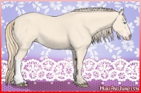 Horse Color:Perlino 