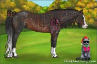 Horse Color:Chocolate Brown Splash  and Brown Splash 