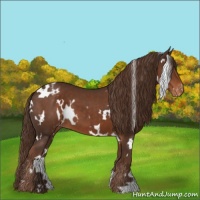 Horse Color:White Spotted Liver Chestnut Varnish 