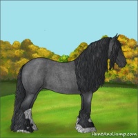 Horse Color:Blue Roan 