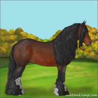 Horse Color:Brown 