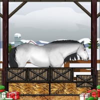 Horse Color:Brown Chinchilla Rabicano 