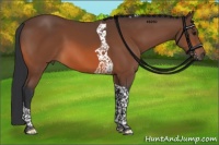 Horse Color:Bay Tobiano 