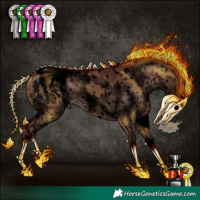 Horse Color:Void White Spotted Chocolate Brown Dun Mushroom Sabino Splash Snowcap  and Gray Void Chocolate Bay Dun Mushroom Splash Tobiano Blanket 