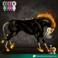 Horse Color:Void White Spotted Chocolate Brown Dun Mushroom Sabino Splash Appaloosa and Gray Void Chocolate Bay Dun Mushroom Splash Tobiano Appaloosa