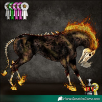 Horse Color:Void White Spotted Chocolate Brown Dun Mushroom Sabino Splash Appaloosa  and Gray Void Chocolate Bay Dun Mushroom Splash Tobiano Appaloosa 