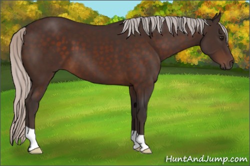 Horse Color:Silver Brown 