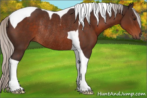 Horse Color:Silver Brown Tobiano Rabicano 
