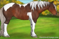 Horse Color:Silver Brown Tobiano Rabicano