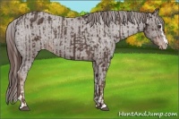 Horse Color:Liver Chestnut Sabino Splash Varnish  and Liver Chestnut Sabino Varnish 