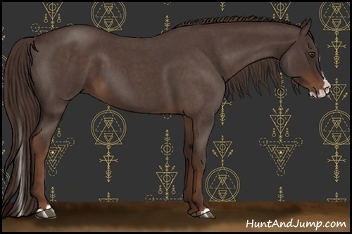 Horse Color:Liver Red Roan Splash