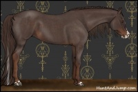 Horse Color:Liver Red Roan Splash 