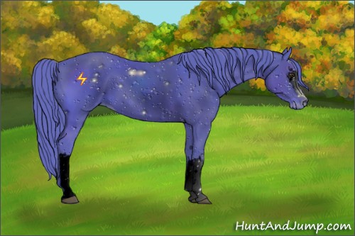 Horse Color:ERROR: UNKNOWN ANOMALY