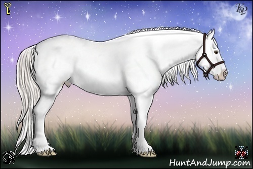 Horse Color:Silver Brown Dun Splash Tobiano Snowflake Varnish 