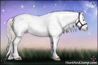 Horse Color:Silver Bay Dun Splash Tobiano Appaloosa