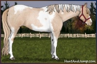 Horse Color:Red Roan Pearl Tobiano Frame 