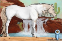 Horse Color:Perlino Tobiano Appaloosa