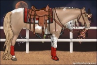 Horse Color:Liver Red Roan Pearl Tobiano Frame 