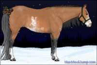 Horse Color:Bay Sabino 