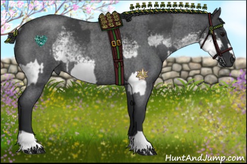 Horse Color:White Spotted Blue Roan Rabicano  and Blue Roan Rabicano 