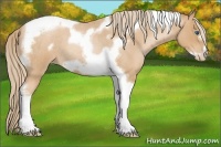 Horse Color:Red Roan Pearl Tobiano Frame