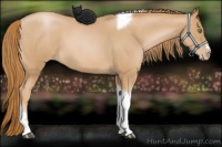 Horse Color:Red Roan Pearl Tobiano Frame 