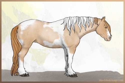 Horse Color:Red Roan Pearl Tobiano Frame 