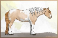 Horse Color:Red Roan Pearl Tobiano Frame 