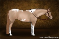 Horse Color:Liver Red Roan Pearl Tobiano Frame 